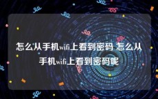 怎么从手机wifi上看到密码 怎么从手机wifi上看到密码呢