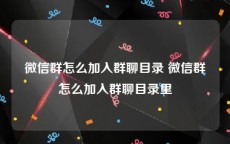 微信群怎么加入群聊目录 微信群怎么加入群聊目录里