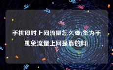 手机即时上网流量怎么查(华为手机免流量上网是真的吗)