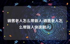 销售老人怎么带新人(销售老人怎么带新人快速融入)