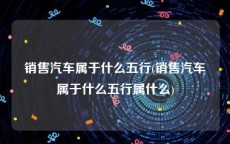 销售汽车属于什么五行(销售汽车属于什么五行属什么)