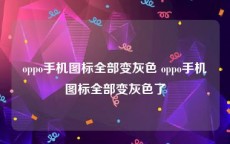 oppo手机图标全部变灰色 oppo手机图标全部变灰色了