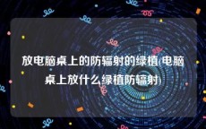 放电脑桌上的防辐射的绿植(电脑桌上放什么绿植防辐射)