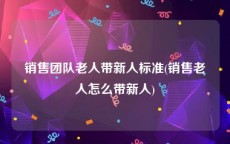 销售团队老人带新人标准(销售老人怎么带新人)