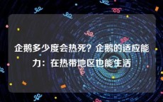 企鹅多少度会热死？企鹅的适应能力：在热带地区也能生活