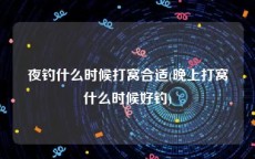 夜钓什么时候打窝合适(晚上打窝什么时候好钓)