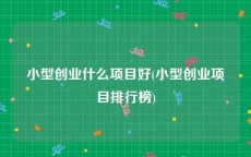 小型创业什么项目好(小型创业项目排行榜)