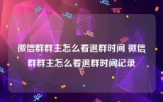 微信群群主怎么看退群时间 微信群群主怎么看退群时间记录