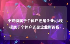 小规模属于个体户还是企业(小规模属于个体户还是企业所得税)