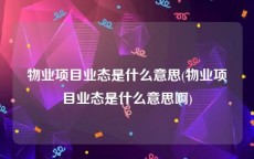 物业项目业态是什么意思(物业项目业态是什么意思啊)