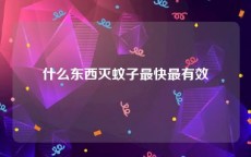 什么东西灭蚊子最快最有效