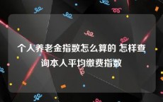 个人养老金指数怎么算的 怎样查询本人平均缴费指数