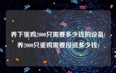 养下蛋鸡2000只需要多少钱的设备(养2000只蛋鸡需要投资多少钱)