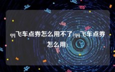 qq飞车点券怎么用不了(qq飞车点券怎么用)