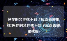 保存的文件找不到了应该去哪里找(保存的文件找不到了应该去哪里找呢)