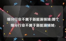 细分行业不属于新能源领域(哪个细分行业不属于新能源领域)