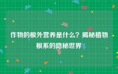 作物的根外营养是什么？揭秘植物根系的隐秘世界