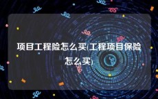 项目工程险怎么买(工程项目保险怎么买)