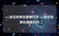 vivo定位权限在哪里打开 vivo定位权限在哪里打开