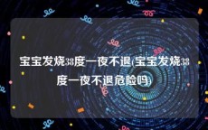 宝宝发烧38度一夜不退(宝宝发烧38度一夜不退危险吗)