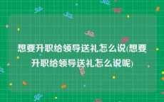 想要升职给领导送礼怎么说(想要升职给领导送礼怎么说呢)