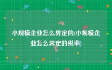 小规模企业怎么界定的(小规模企业怎么界定的税率)