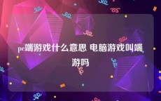 pc端游戏什么意思 电脑游戏叫端游吗