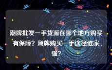 潮牌批发一手货源在哪个地方购买有保障？潮牌购买一手途径谁家强？