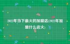 2022年当下最火的加盟店(2022年加盟什么店火)