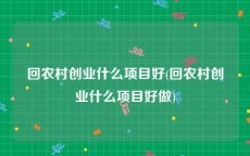 回农村创业什么项目好(回农村创业什么项目好做)