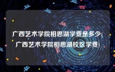 广西艺术学院相思湖学费是多少(广西艺术学院相思湖校区学费)