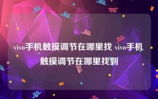 vivo手机触摸调节在哪里找 vivo手机触摸调节在哪里找到