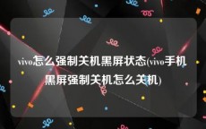 vivo怎么强制关机黑屏状态(vivo手机黑屏强制关机怎么关机)