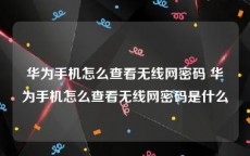 华为手机怎么查看无线网密码 华为手机怎么查看无线网密码是什么