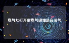 煤气灶打开后煤气罐像是在漏气