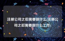 注册公司之后需要做什么(注册公司之后需要做什么工作)