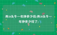 养20头牛一年挣多少钱(养20头牛一年挣多少钱了)