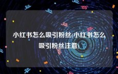 小红书怎么吸引粉丝(小红书怎么吸引粉丝注意)