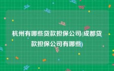 杭州有哪些贷款担保公司(成都贷款担保公司有哪些)