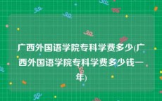 广西外国语学院专科学费多少(广西外国语学院专科学费多少钱一年)