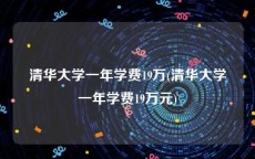 清华大学一年学费19万(清华大学一年学费19万元)