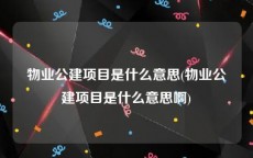 物业公建项目是什么意思(物业公建项目是什么意思啊)