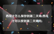 西瓜汁怎么保存到第二天喝(西瓜汁可以放到第二天喝吗)