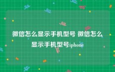 微信怎么显示手机型号 微信怎么显示手机型号iphone