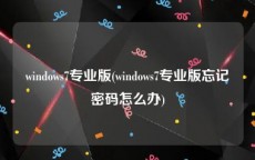 windows7专业版(windows7专业版忘记密码怎么办)