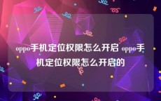 oppo手机定位权限怎么开启 oppo手机定位权限怎么开启的