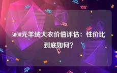 5000元羊绒大衣价值评估：性价比到底如何？