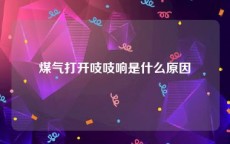 煤气打开吱吱响是什么原因