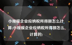 小规模企业应纳税所得额怎么计算(小规模企业应纳税所得额怎么计算的)