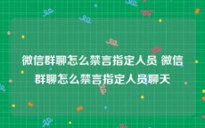 微信群聊怎么禁言指定人员 微信群聊怎么禁言指定人员聊天